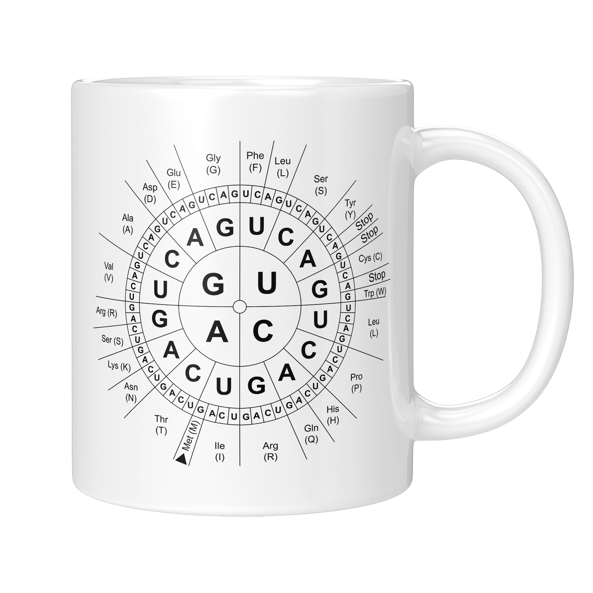 CupHaven Biologie Tasse - Code-Sonne - Geschenk für Biologen, Biochemiker und Genetiker