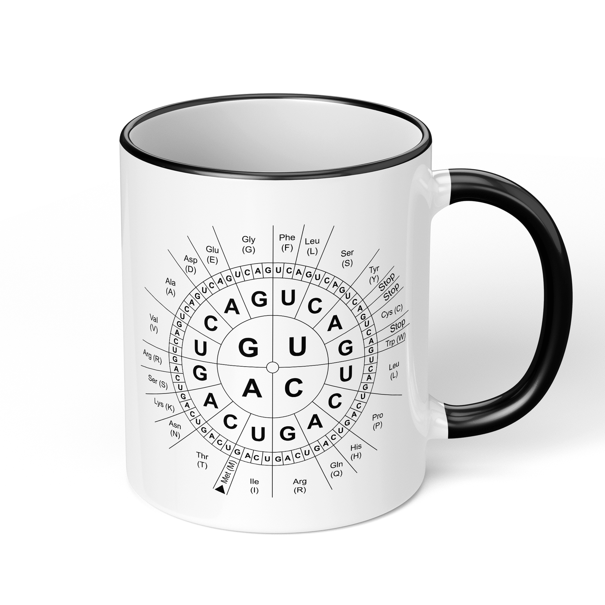 CupHaven® Biologie Tasse - Code-Sonne - Geschenk für Biologen, Biochemiker und Genetiker