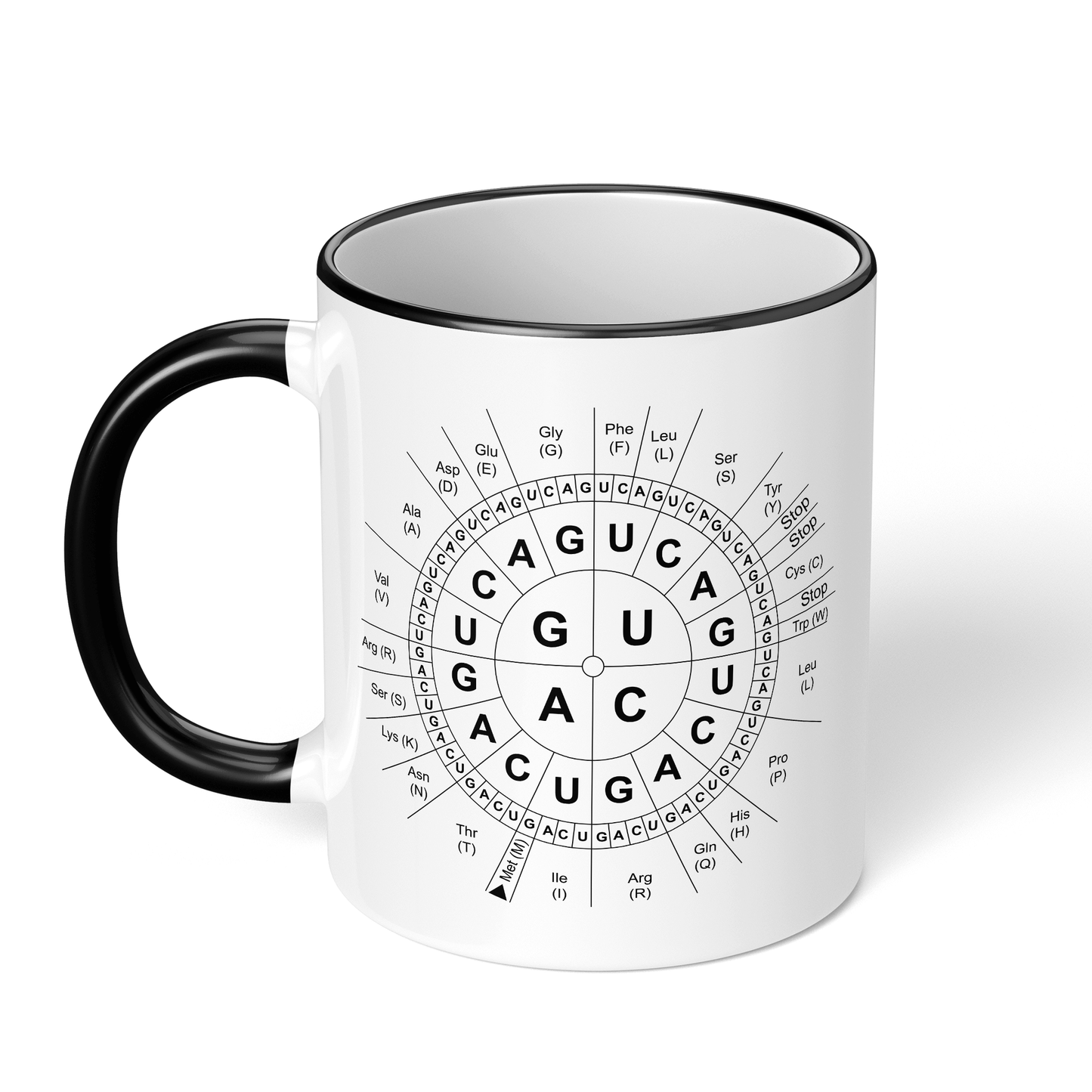 CupHaven® Biologie Tasse - Code-Sonne - Geschenk für Biologen, Biochemiker und Genetiker